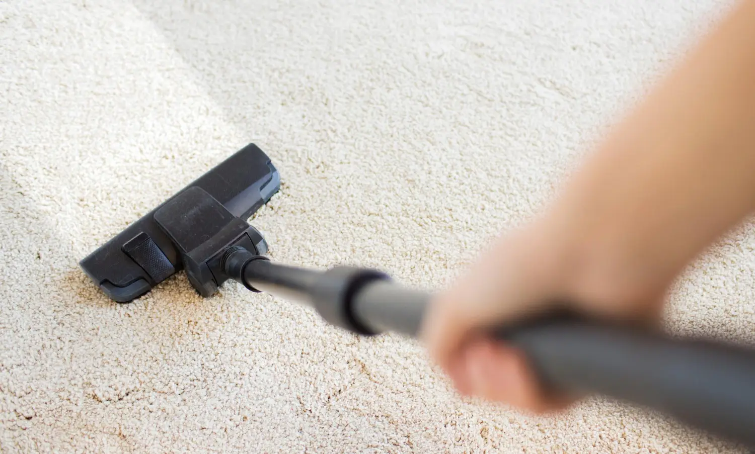 Carpet Care