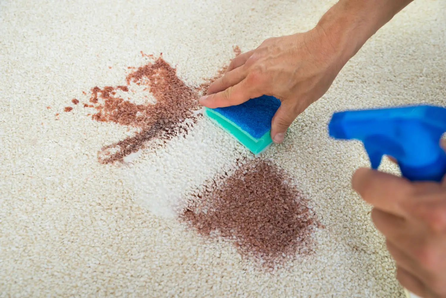 Carpet Color Repair
