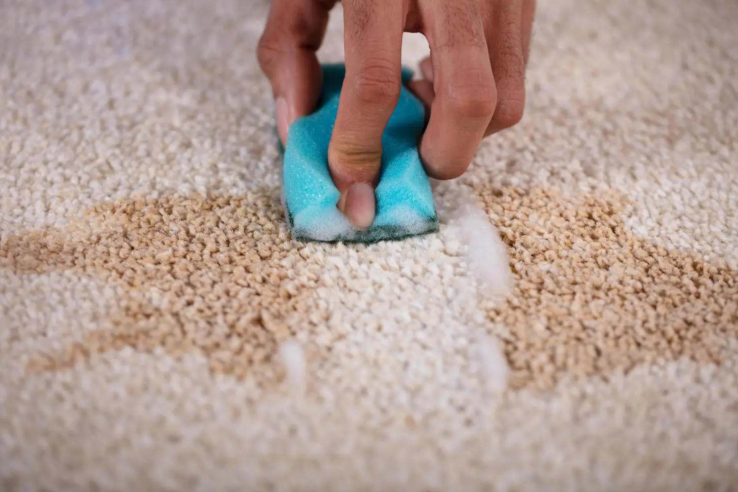 Carpet Color Fixing Services