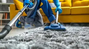Professional Carpet