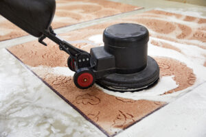 best carpet cleaning company