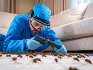 Professionals Repair Carpet