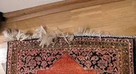 fringes repair