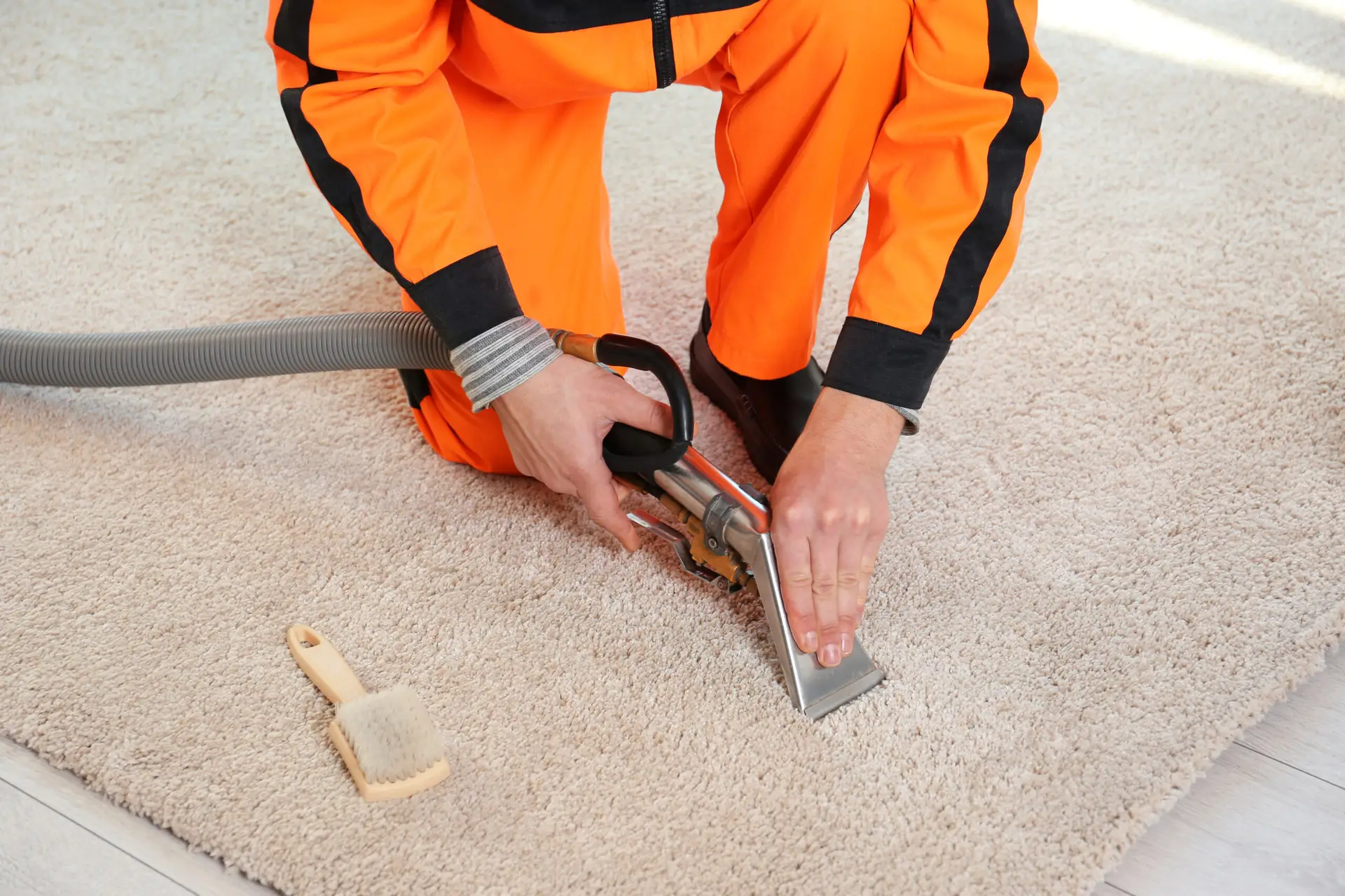 carpet insect damage repair
